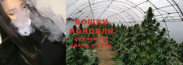 PSILOCYBIN Магадан