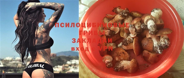 спайс Мегион
