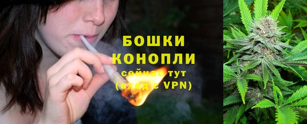 бутират Медногорск