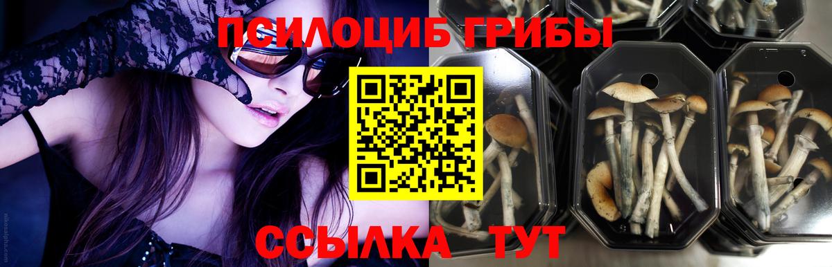 Галлюциногенные грибы GOLDEN TEACHER  Вход с VPN  Нарьян-Мар 